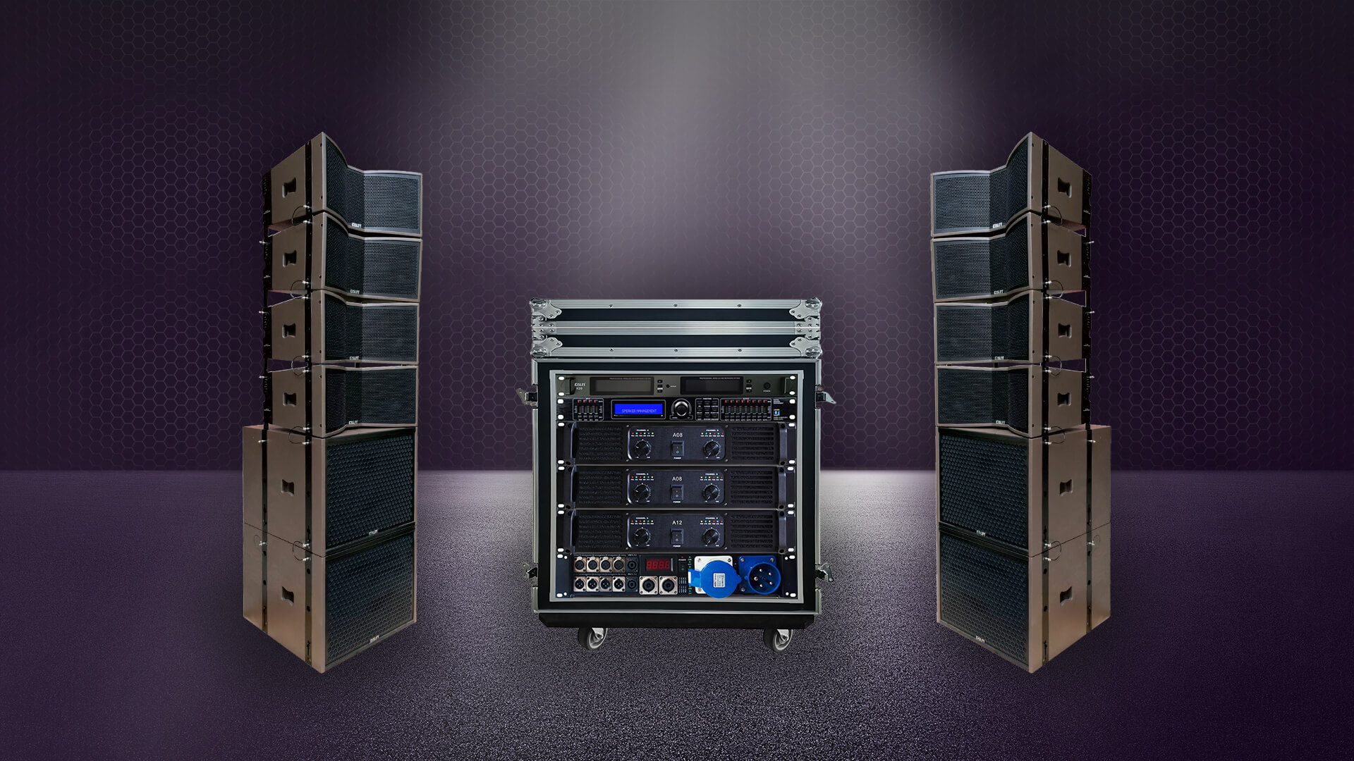 Full set Dual 12 inch line array sound system(Flat net)