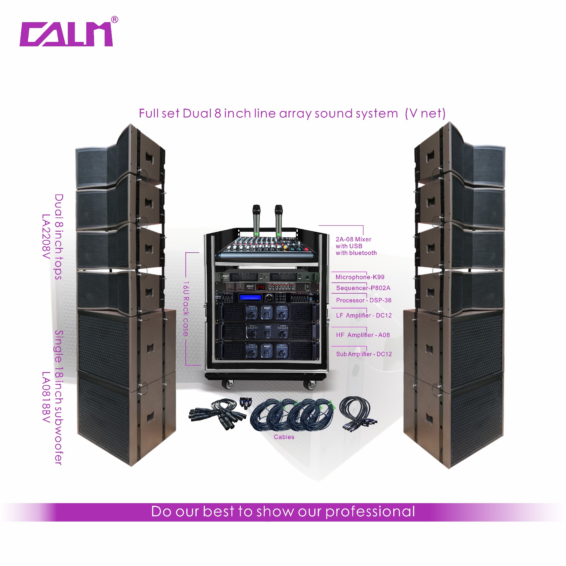 Full set Dual 8 inch line array sound system (V net)
